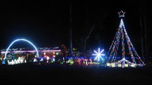 2017 lights.jpg