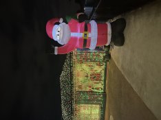 IMG_1417.jpeg