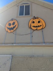 PXL_20251020_175411009.jpg