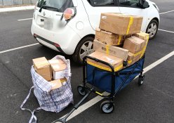 1763383800064.jpeg 1763383800064.jpeg