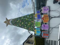 Tree & Pressents.jpeg