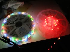 Fualty Seed Pixel (1).JPG