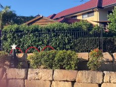 1776138793630.jpeg 1776138793630.jpeg