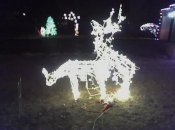christmas-reindeer-display-funny-christmas-decorations.jpg