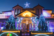 Lights-2015-front1.gif
