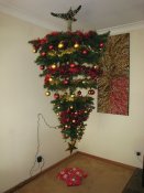 Christmas tree 2008s.jpg