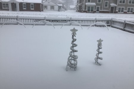 Spirals in the snow